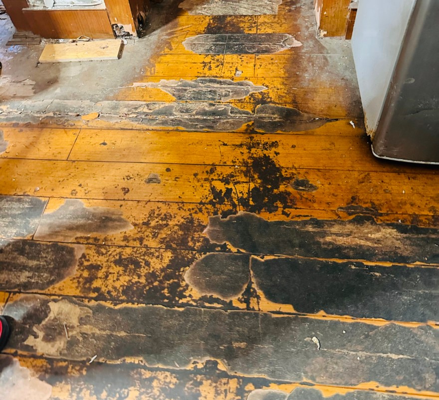 1700796243118789.jpg 29.jpg